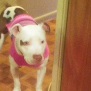 Meet your Posher, Chelsea